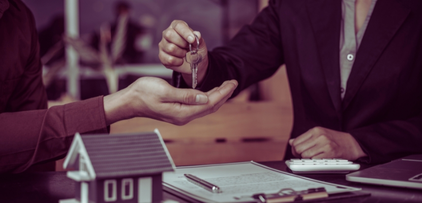 Comprehensive Rental Options 2